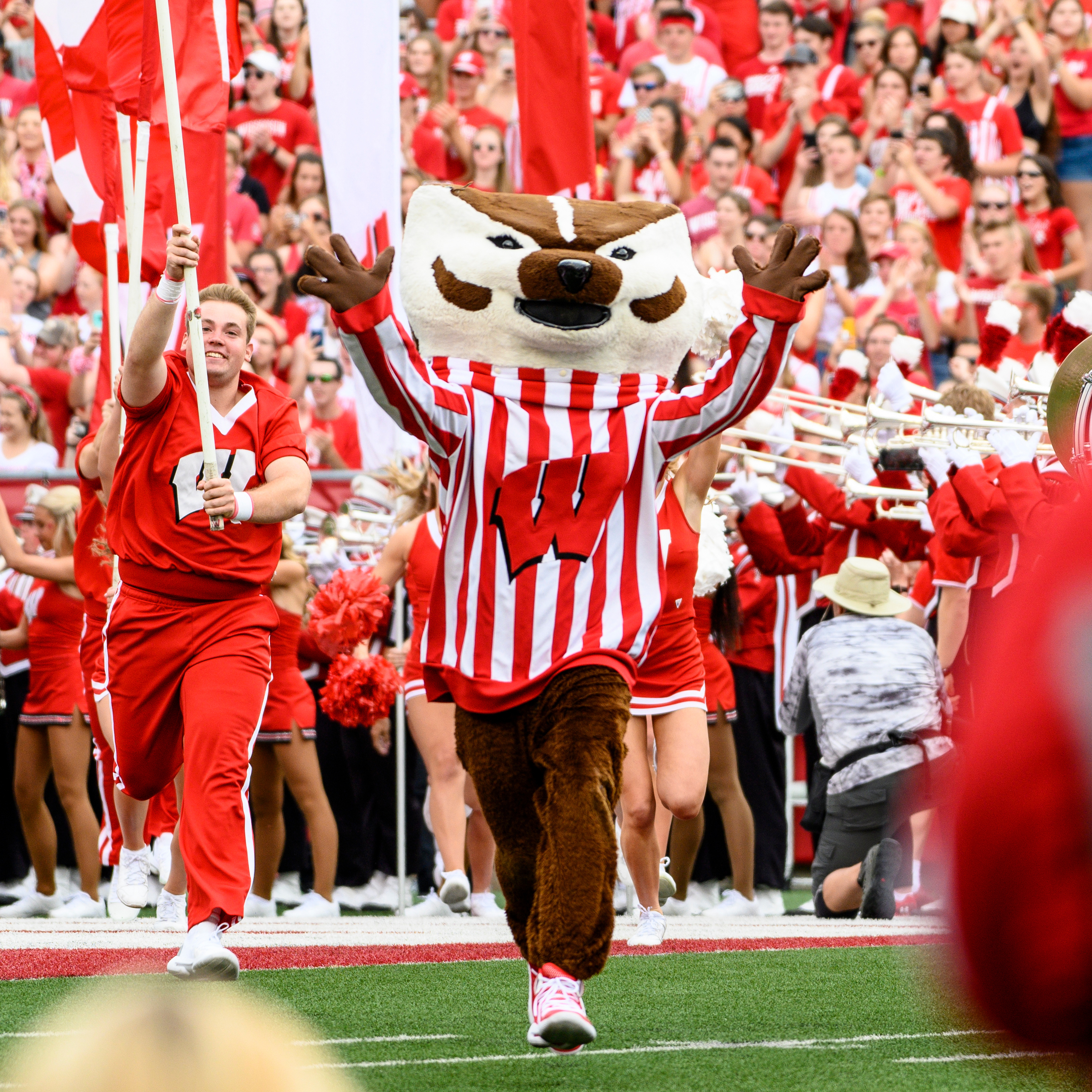 Bucky!